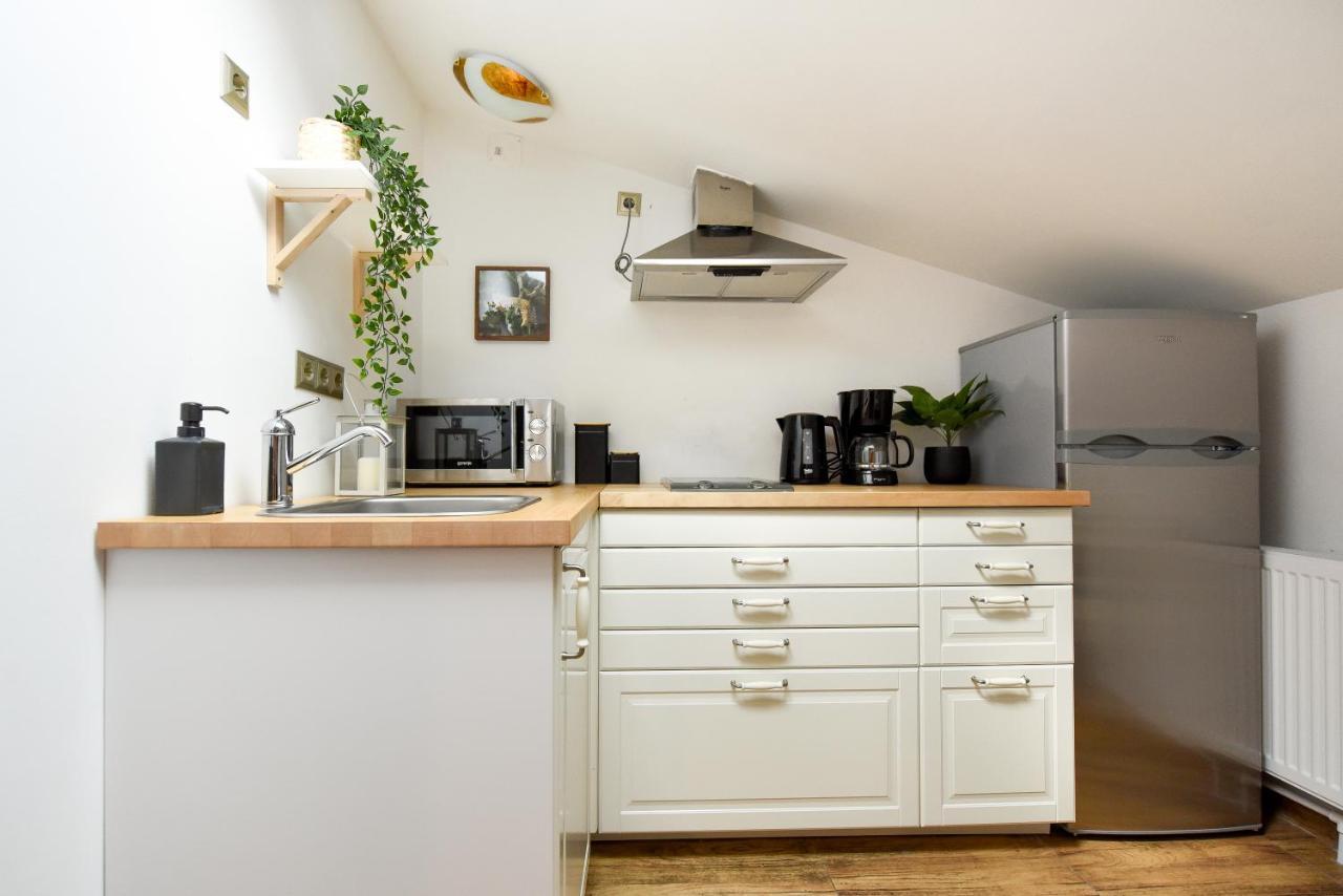 Plants Attic Studio - Best Location - Old Town Букурещ Екстериор снимка