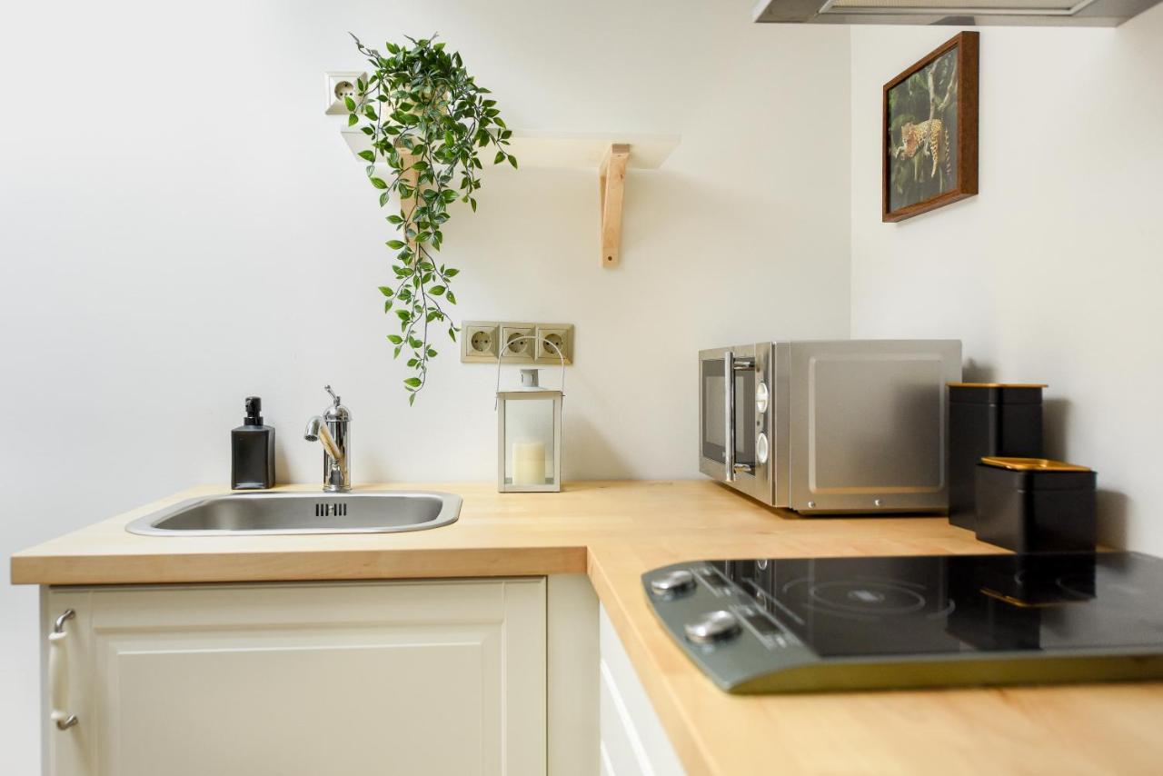 Plants Attic Studio - Best Location - Old Town Букурещ Екстериор снимка